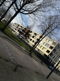 Bertus Aafjeshof, Bladel