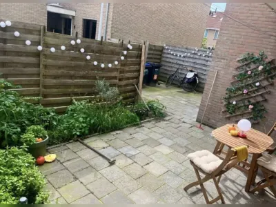 Kalf , 1509AC, Zaandam, Noord-Holland