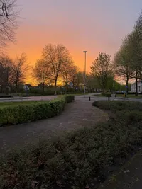Europalaan, Drunen