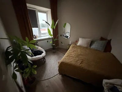 Jacob Roggeveenstraat , 2404ZA, Alphen aan den Rijn, Zuid-Holland