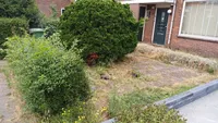 Van Broekhuijsenstraat, IJmuiden