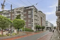 Betuwestraat 6 3, Arnhem