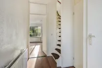 Zebraspoor, Maarssen