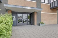 Zandsteen, Hoorn
