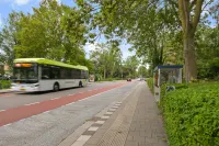 Carel van Manderstraat, Heemskerk