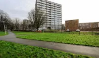 Roggekamp, Den Haag