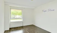 Lotustuin, Rotterdam