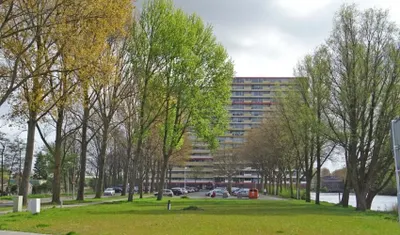 Oost Dorsch , 1504, Zaandam, Noord-Holland