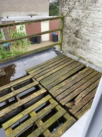 Korenbloemstraat, Tilburg