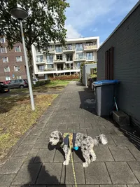 Blokkerhoek, Lelystad