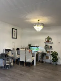 Lorentzstraat, Zandvoort
