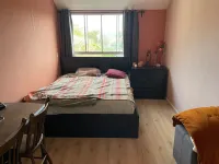 Brechtje Spiegelerf, Amersfoort