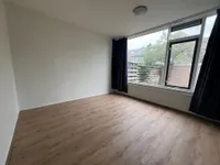 Edelsteenlaan, Groningen