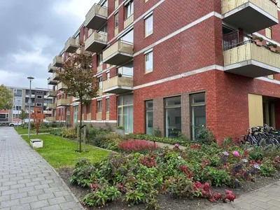 Berkenlaan , 9741JL, Groningen, Groningen
