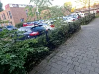Albert van Raalteplein, Schiedam