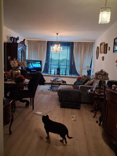 Heycoplaan , 3621WD, Breukelen, Utrecht