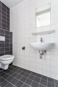 De Lampendriessen, Eindhoven