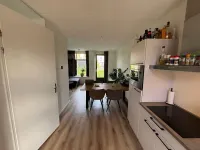 Zwartwal, De Rijp