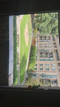 Ossenstraat, Rotterdam