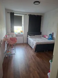 Beemdkroon, Bergen op Zoom