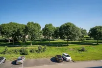 Vlaamse Gaai, Zeewolde