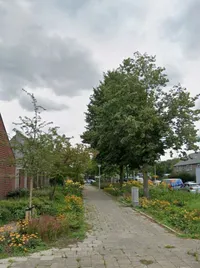 Telefoonstraat, Eindhoven