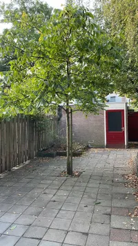 Spoorstraat, Breda