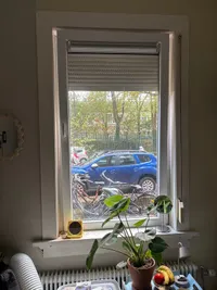 Koolemans Beynenstraat, Nijmegen