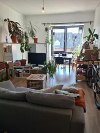 Koestraat, Tilburg