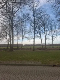 Streng, Emmer-Compascuum