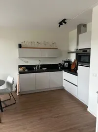 De Tureluur, Dronten