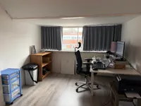 Berkenrodelaan, Amstelveen