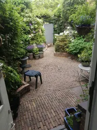 Kuifmees, Nieuwegein
