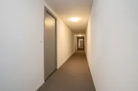 Punt Sniep, Diemen