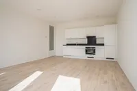 Punt Sniep, Diemen