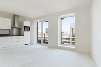 Turfhaven, Den Haag