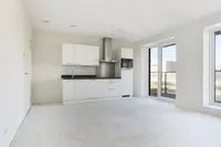 Turfhaven, Den Haag