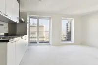 Turfhaven, Den Haag