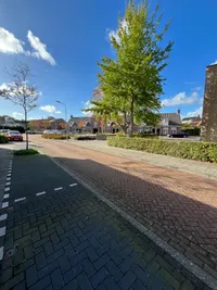 M.P.M. van der Kloosterstraat 6, Brouwershaven