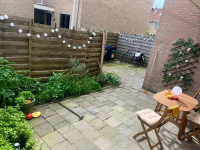 Kalf , 1509BE, Zaandam, Noord-Holland