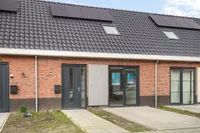 Bos, Stavenisse