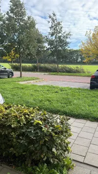 Sportlaan, Wijdewormer