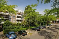 Honingen, Amsterdam