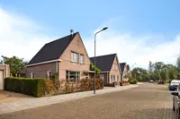 Kreekpad 25, Kats