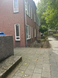 Varkensmarkt, Lichtenvoorde