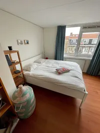 Pieter van der Doesstraat, Amsterdam