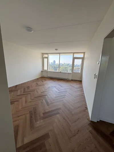 Condorhorst , 2317AX, Leiden, Zuid-Holland