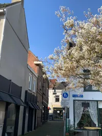 Markt, Terneuzen