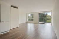 Loevesteinlaan, Den Haag