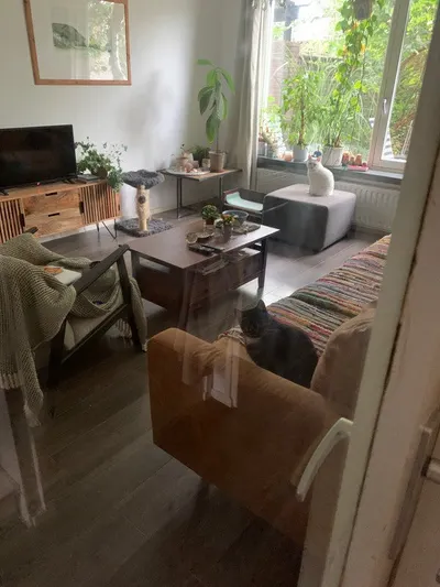 Vasco da Gamastraat , 5223RA, Den Bosch, Noord-Brabant